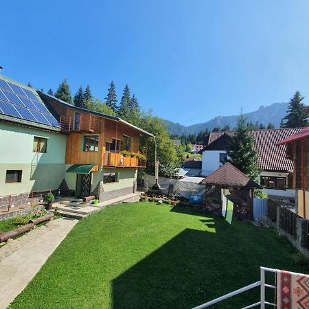 Pensiunea Novac Дурау Экстерьер фото