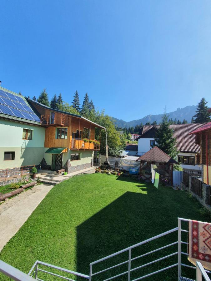 Pensiunea Novac Дурау Экстерьер фото